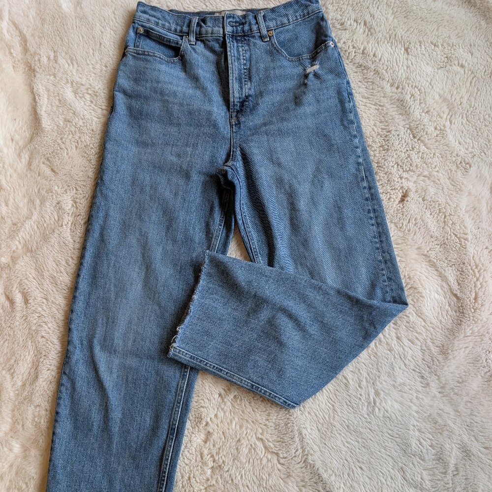 EVERLANE The Way High Jean. Size 27 (fits like 28)